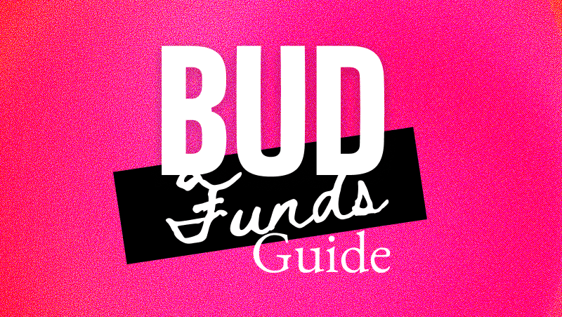 BUD Fund 2025 Guide: Website & App Upgrades, Brand Expansion