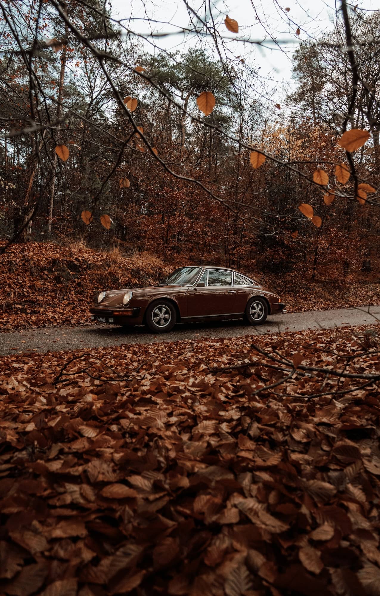 old brown Porsche in nature in autumn among foliage