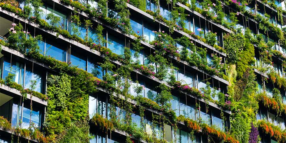 Voorwaarden voor subsidie