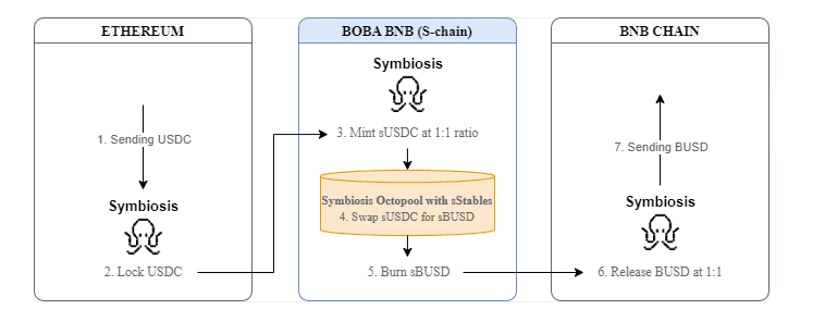 Symbi DD 