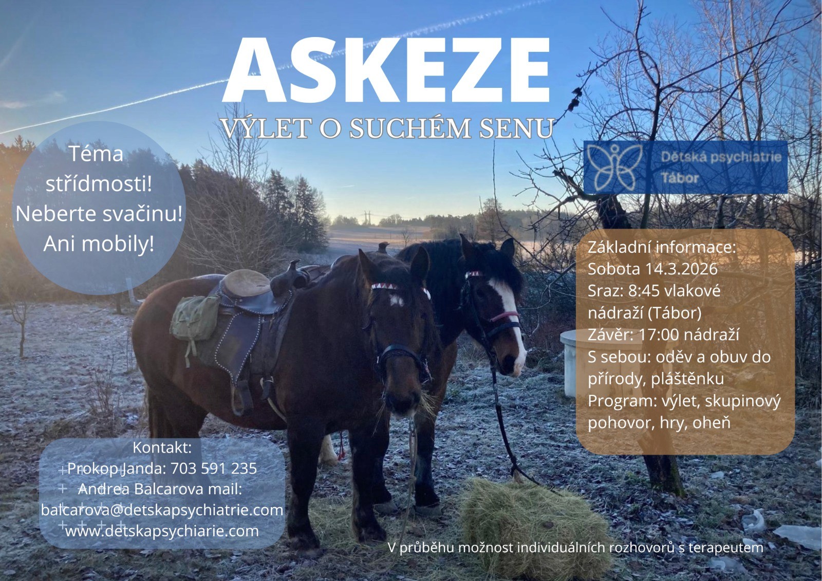 Společná cesta s koňmi – chladnokrevní koně s balíkem sena a výhledem do krajiny. Akce Dětské psychiatrie s.r.o., 14. 3. 2026, putování s koňmi, duchovní a zážitkový program v přírodě pro děti i dospělé.