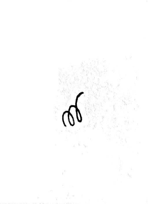 Doodle a mano di Federico De Servi