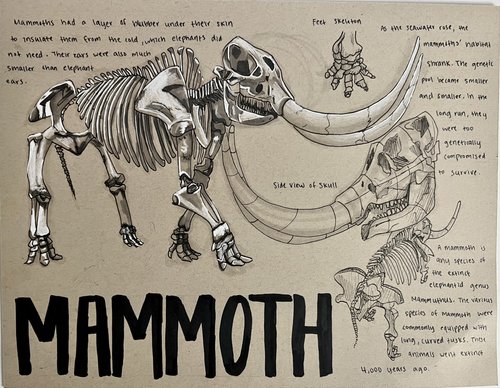 dynsketch mammoth.jpg