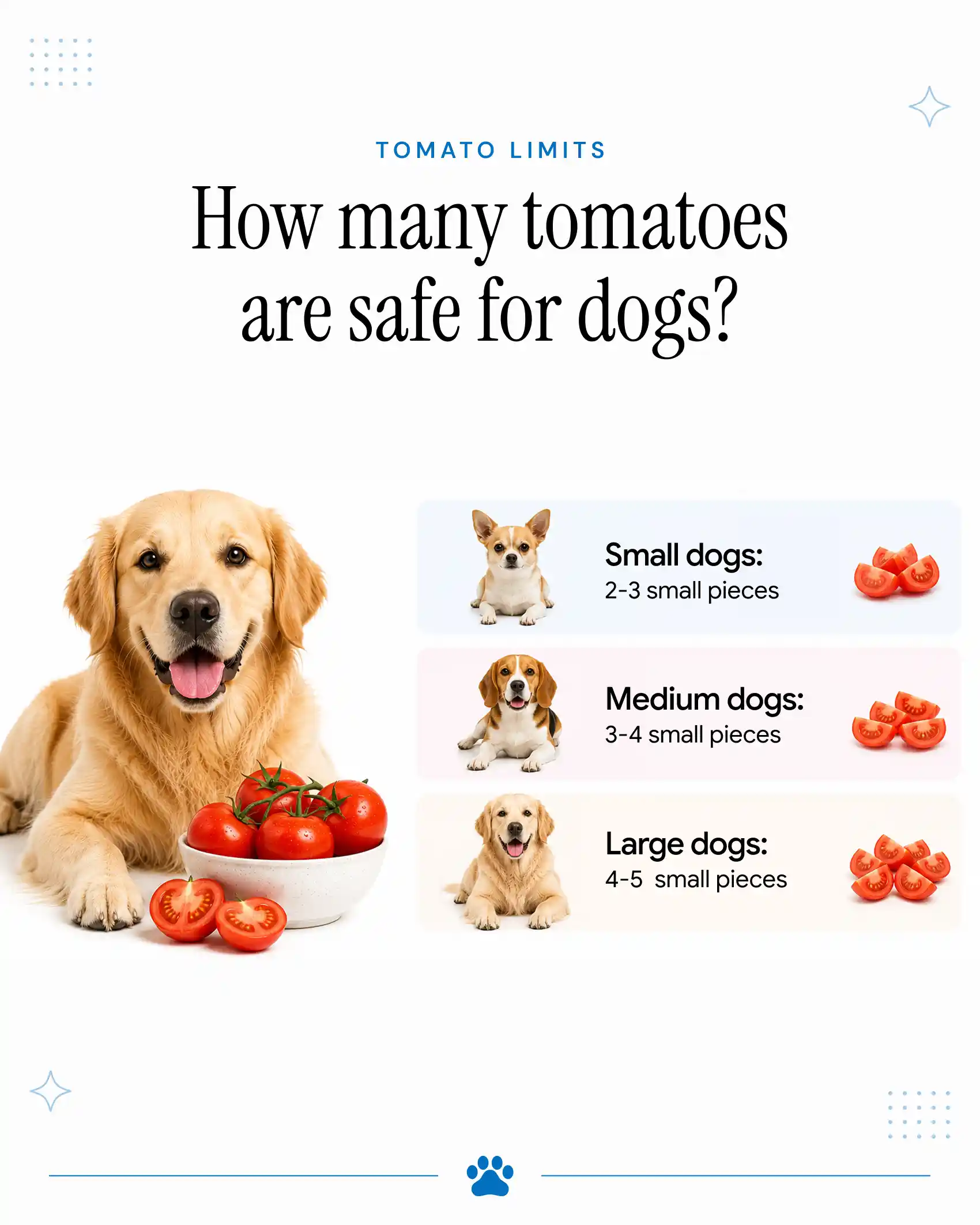 An infographic showing how many tomatoes are safe for dogs.