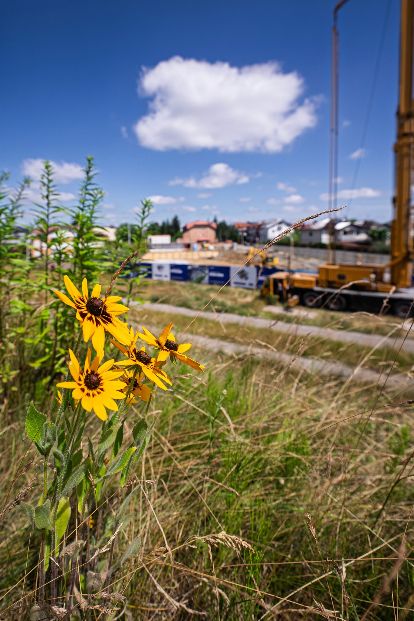 Realizacja projektu strony internetowej dla dewelopera mieszkaniowego z Warszawy - Muniak Development