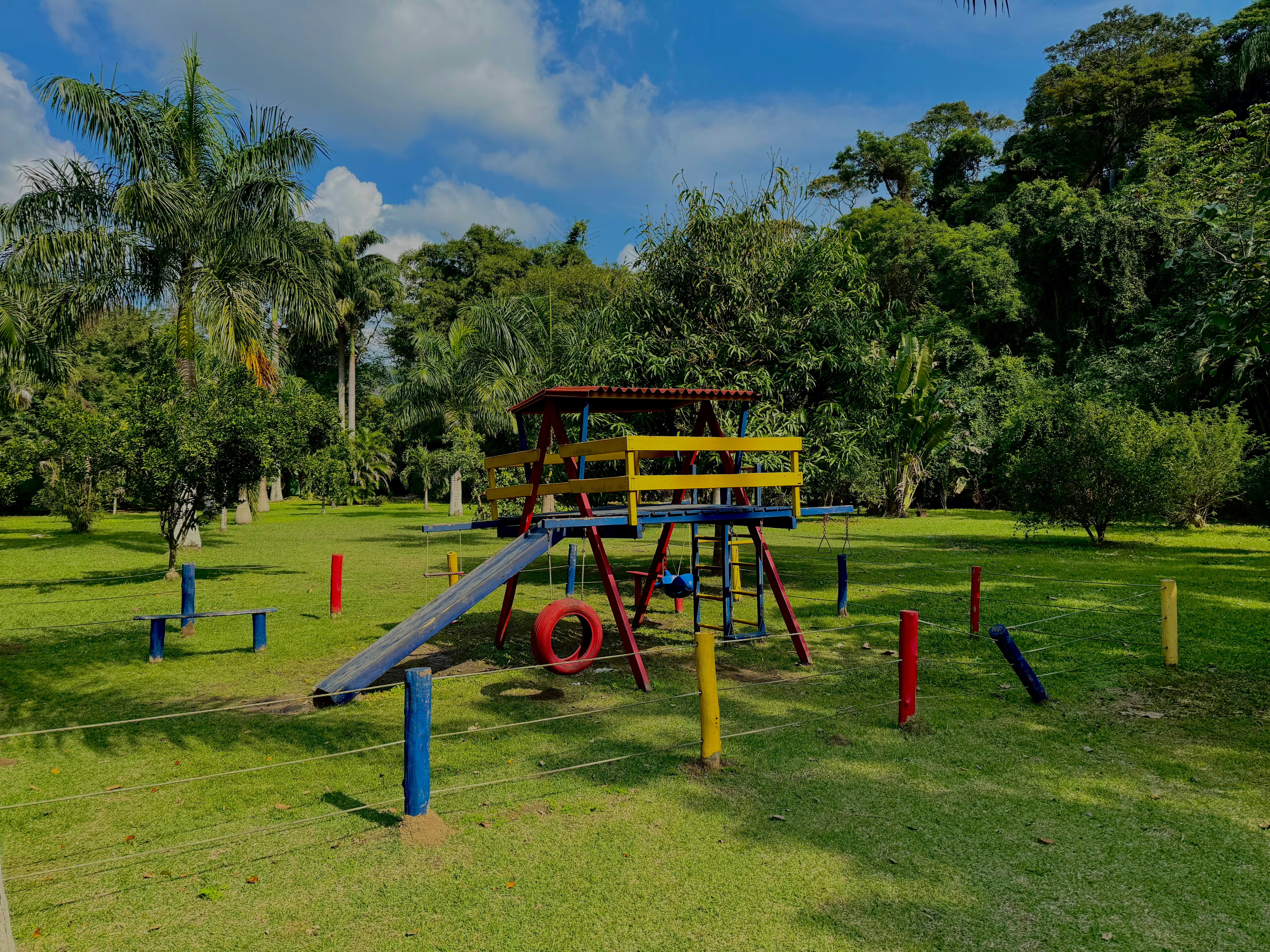 A colorful playground is set in a lush green area.