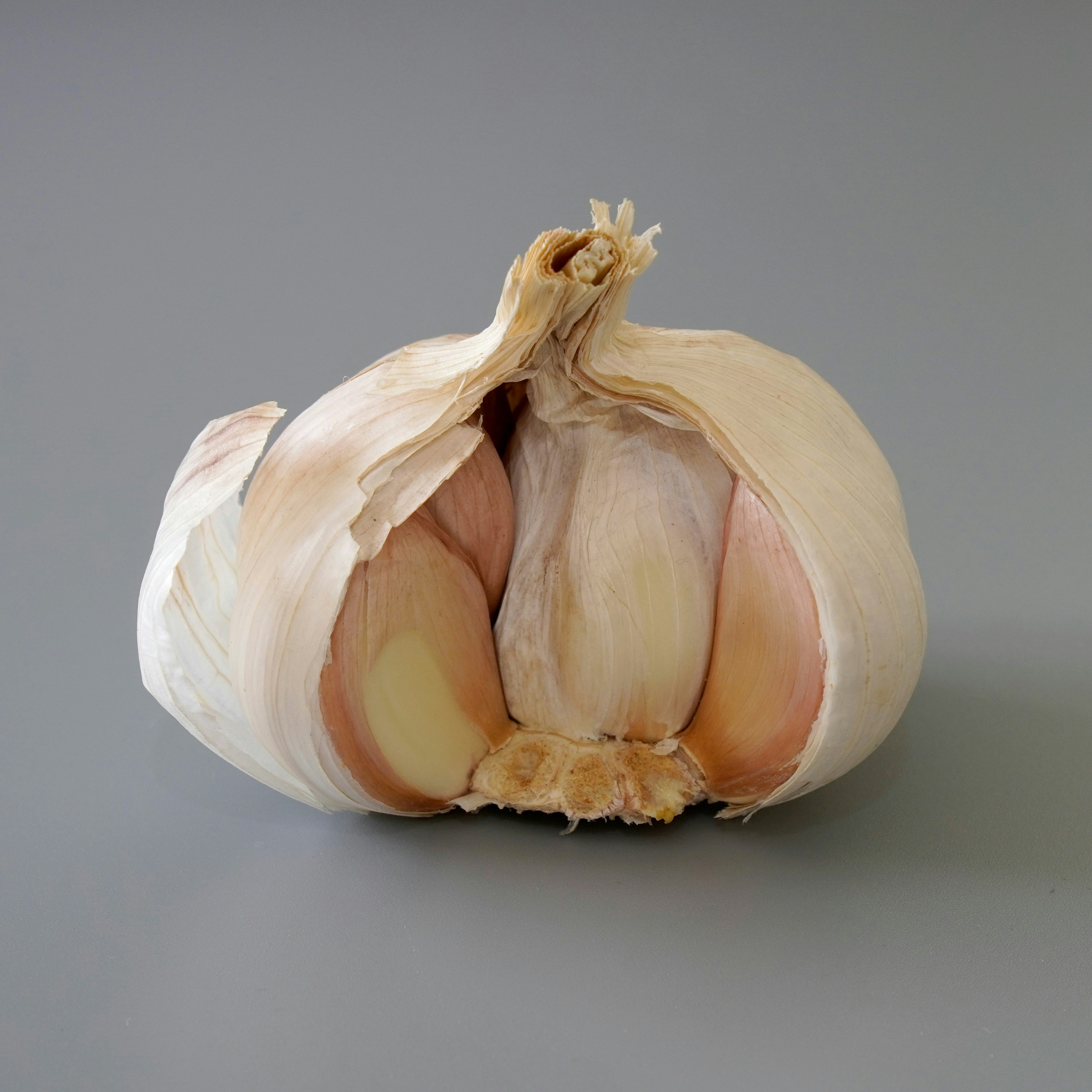 Whole garlic bulb