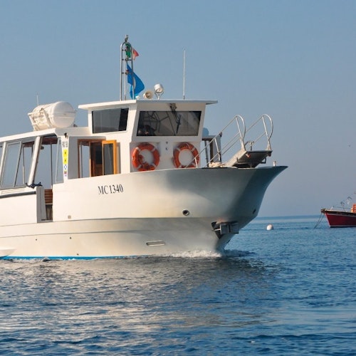 Segling med delad båt