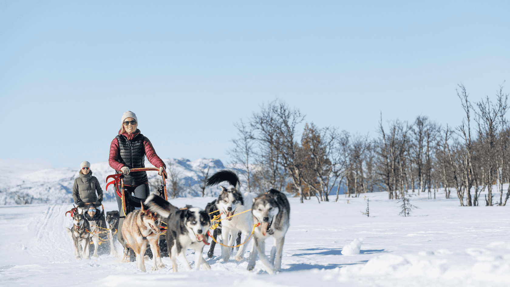 Huskies pulling a sled through the snow