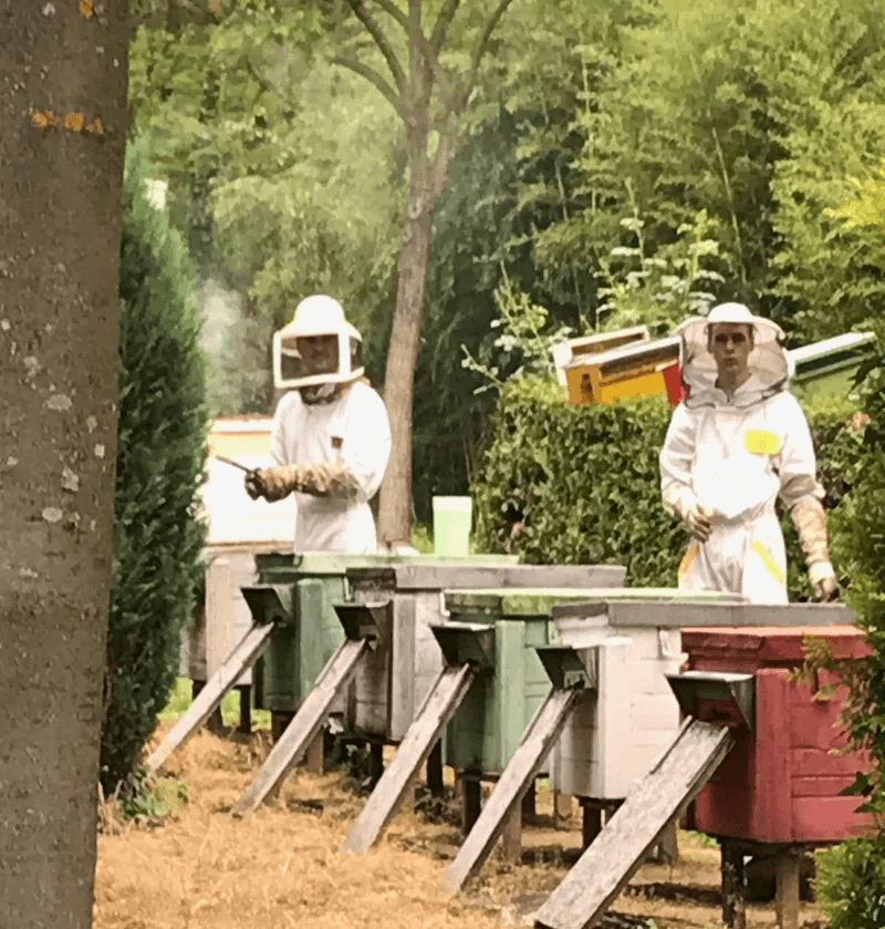 Generációkon átívelő méhészeti tradíció