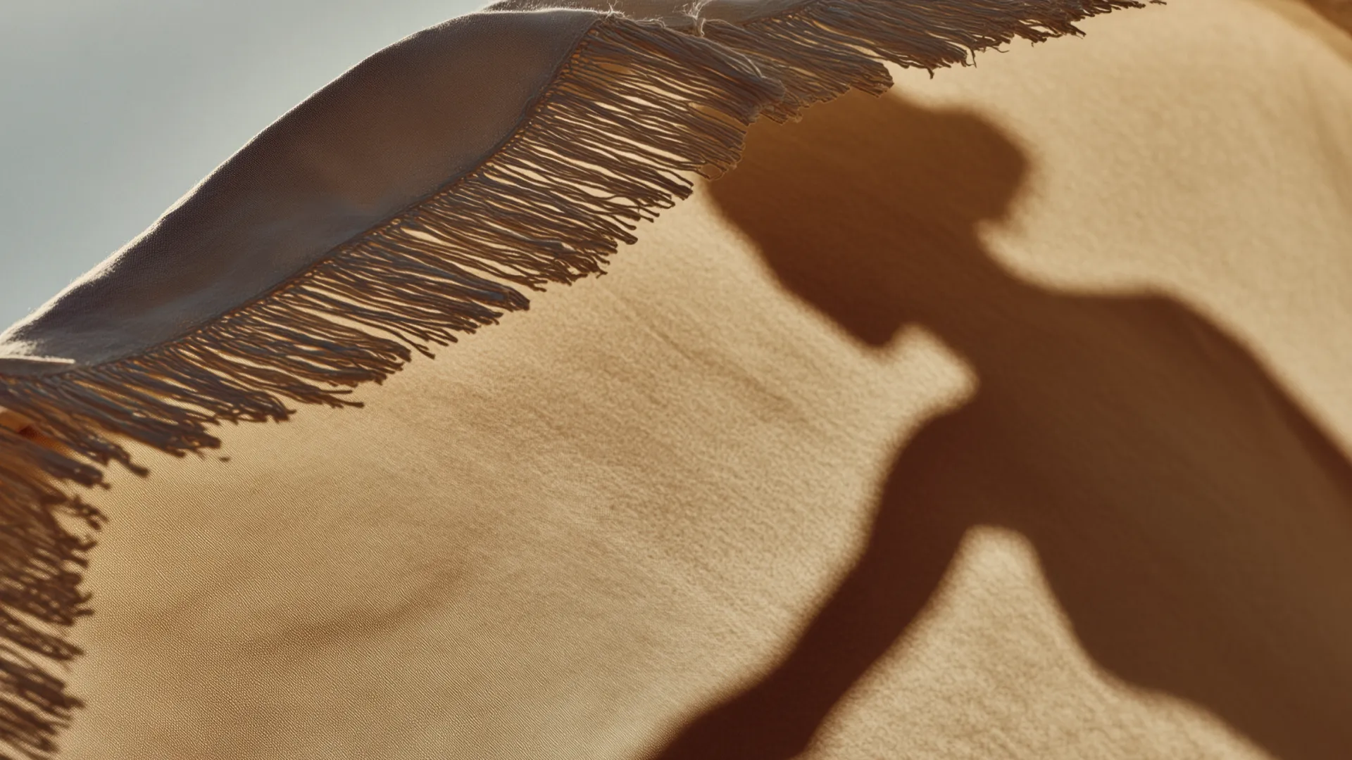Silhouetted shadow of a woman during outdoor movement, symbolizing physical activity, vitality, and healthspan optimization.