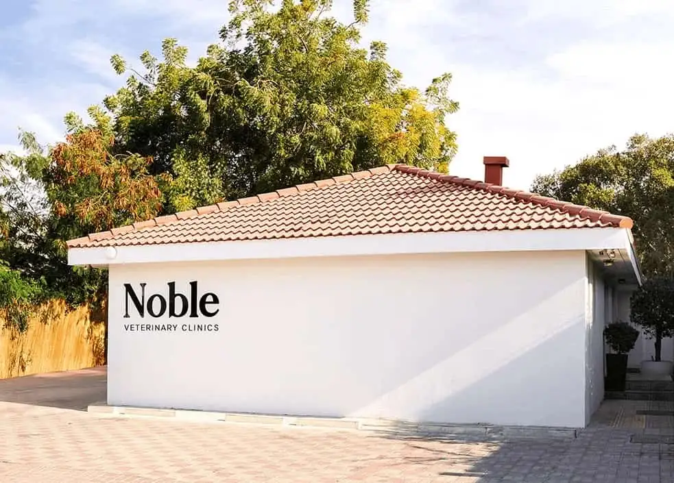 Noble Vet Clinic in Jumeirah, Dubai.