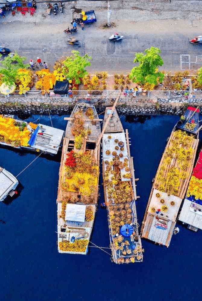 boats dock on sand