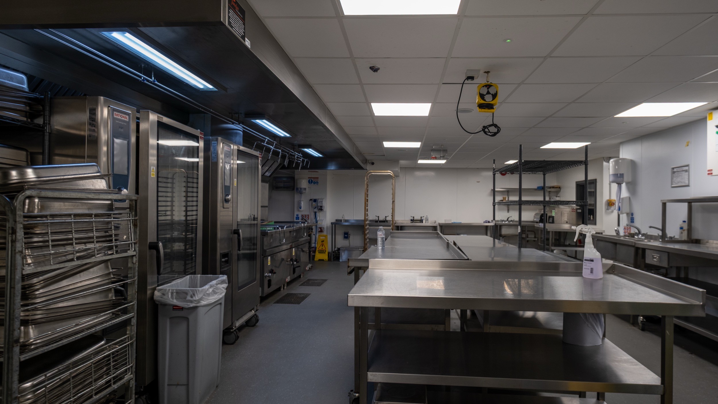 Two classic volkswagen beetles, one green, one cream.