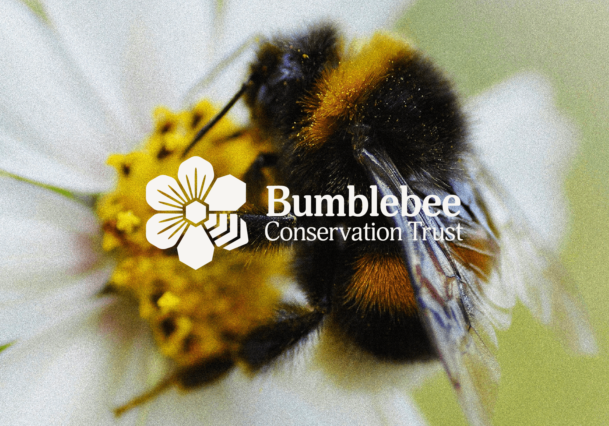 Logo placed on top of a photograph of a bee