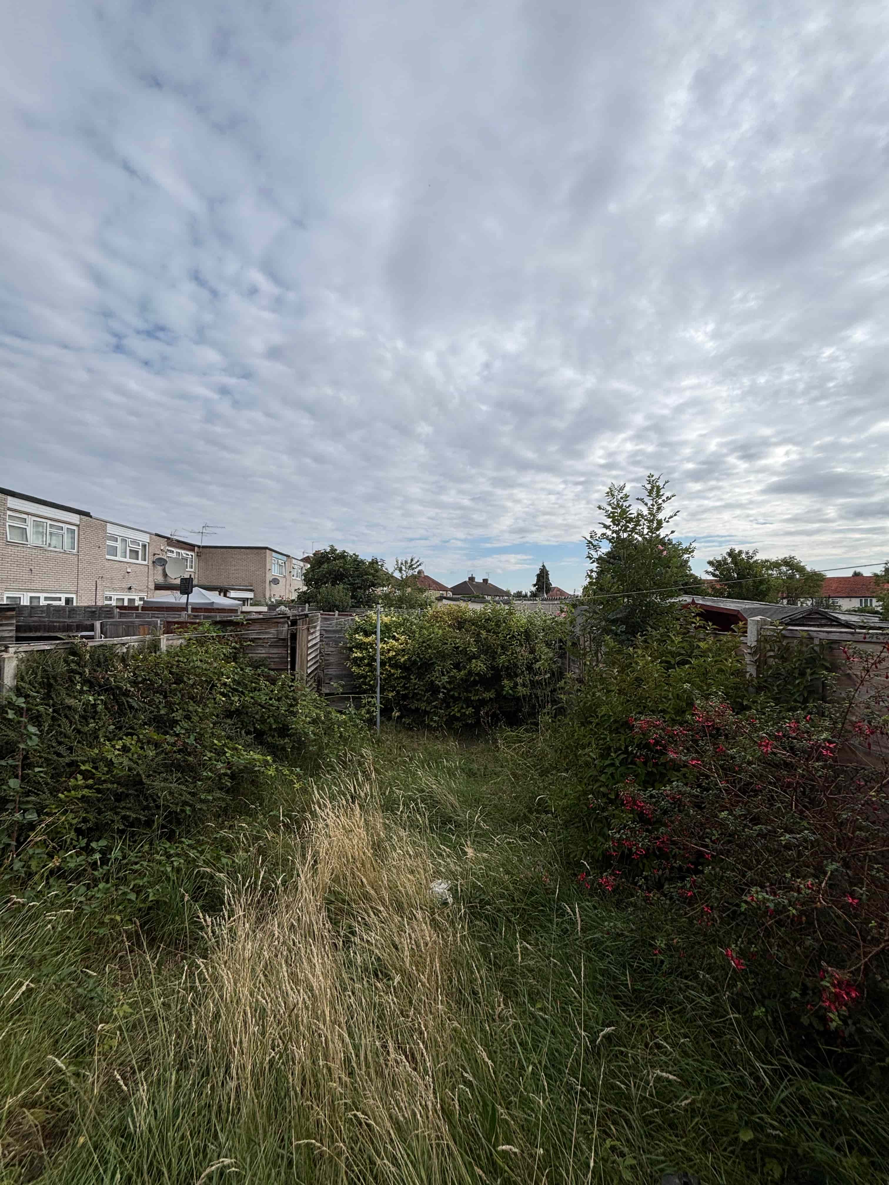 : Garden path through modern black wooden pergolas leading to a green shed.