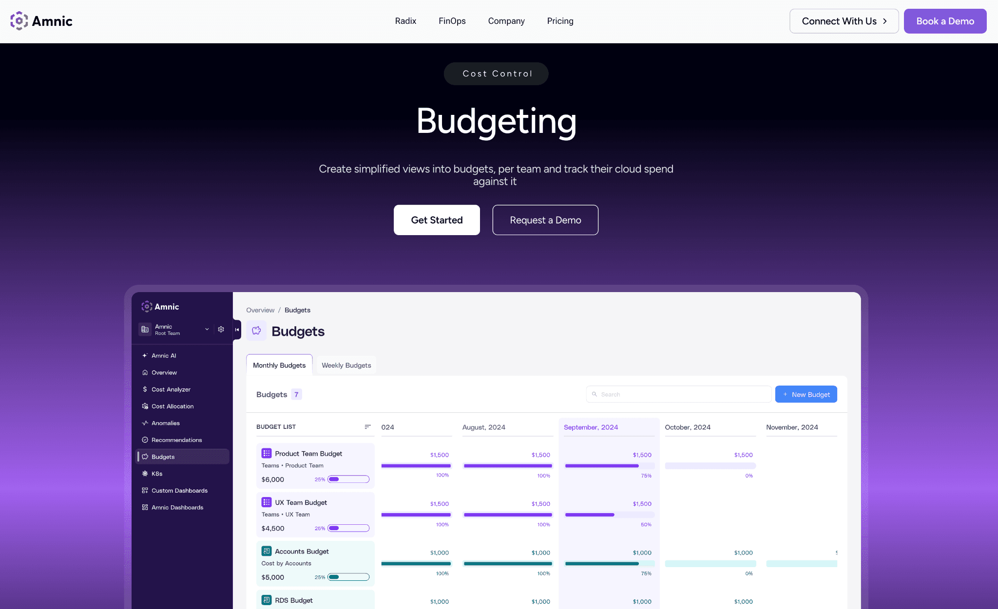 Amnic Cloud Cost Budgeting Tools