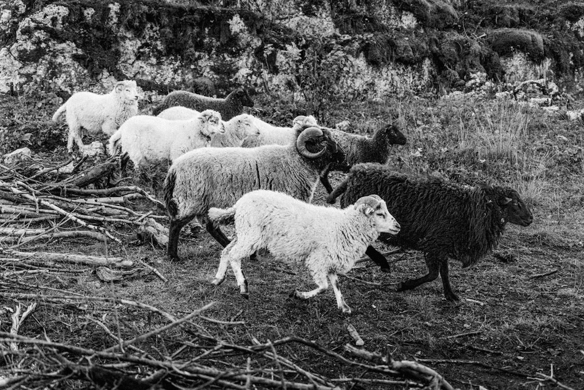 WEBSITE DESIGNING AGENCY