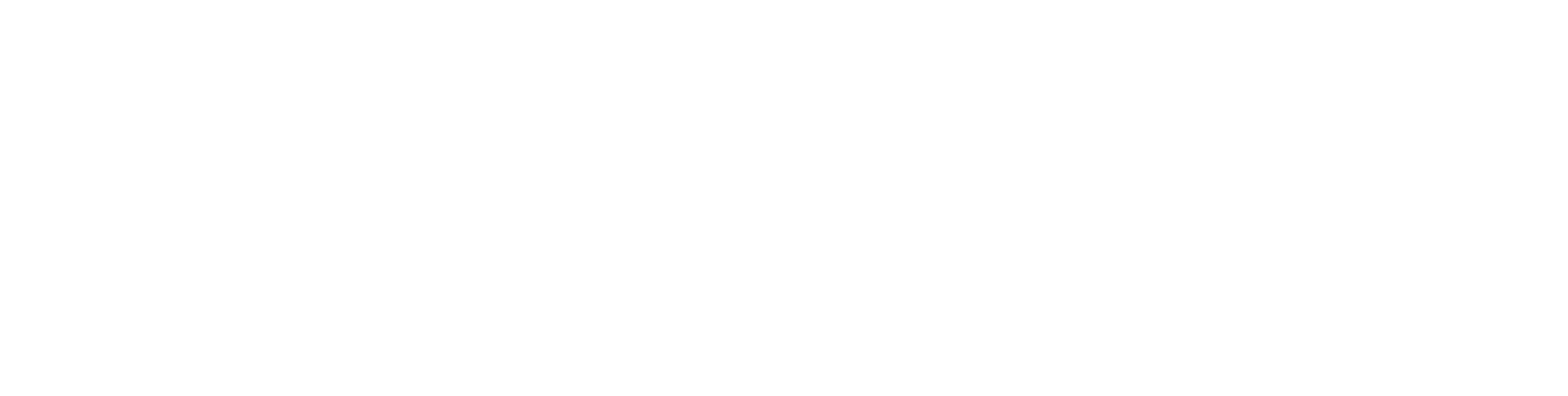White Basee logo featuring two slanted bars and a TM symbol on a black background.
