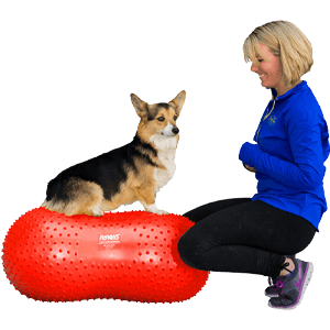 FitPaws® TRAX™ Peanut