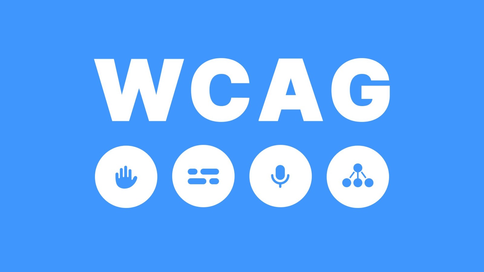 Web Content Accessibility Guidelines (WCAG)