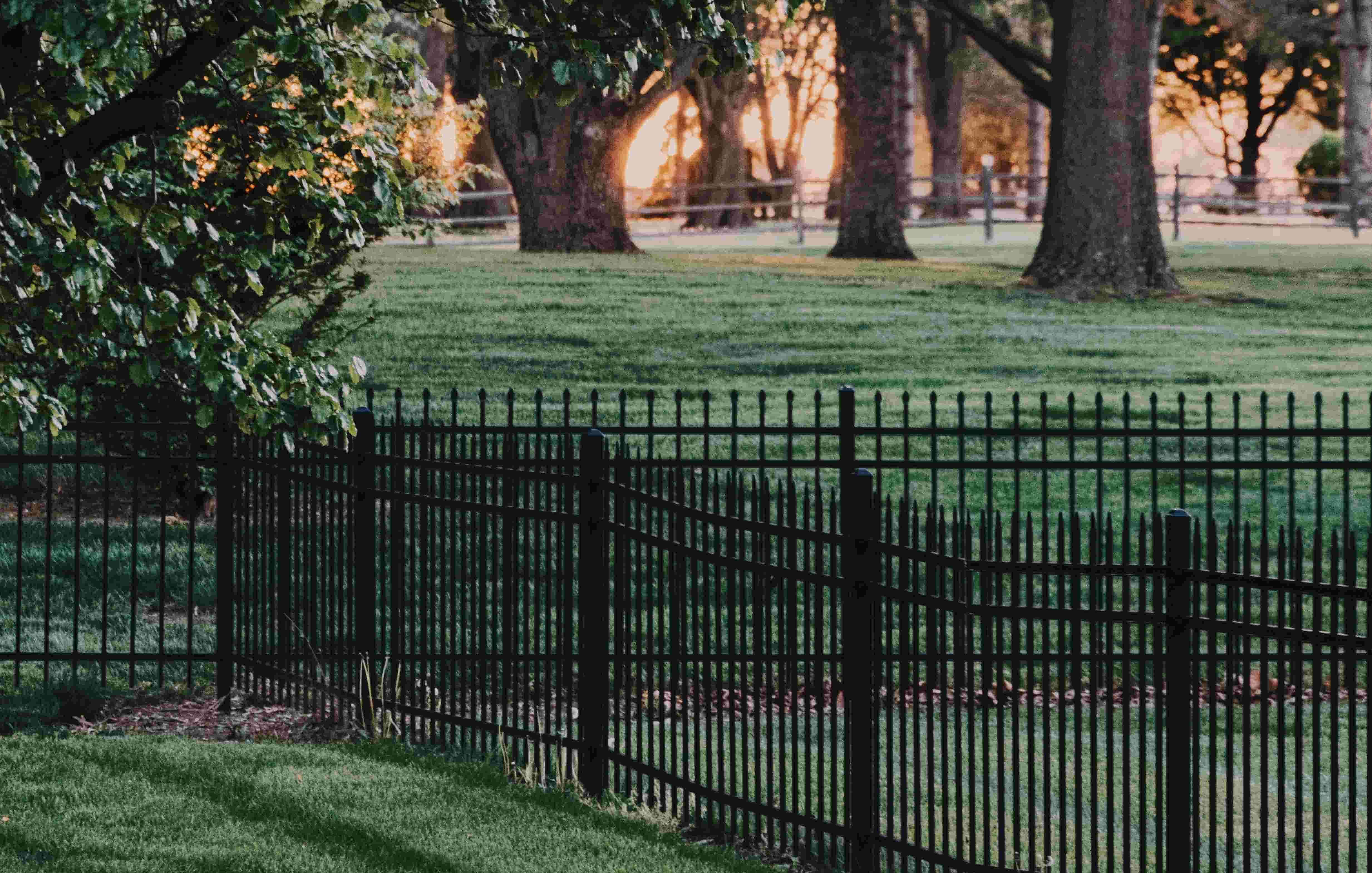 ornamental iron fence charleston
