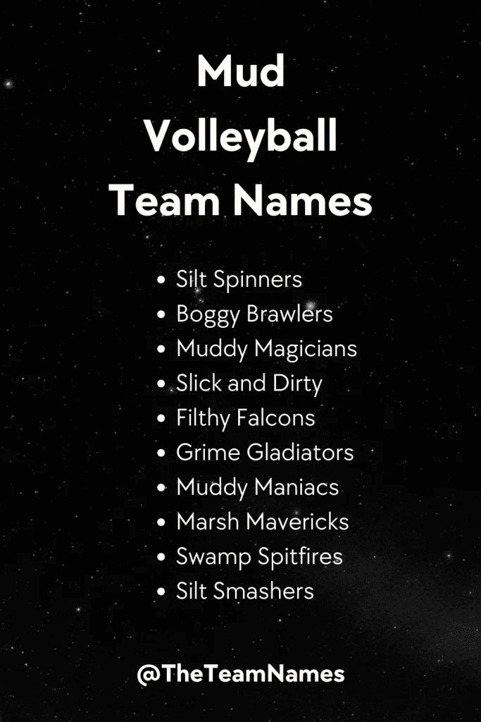 Mud Volleyball Team Names - pit vipers fierce specific