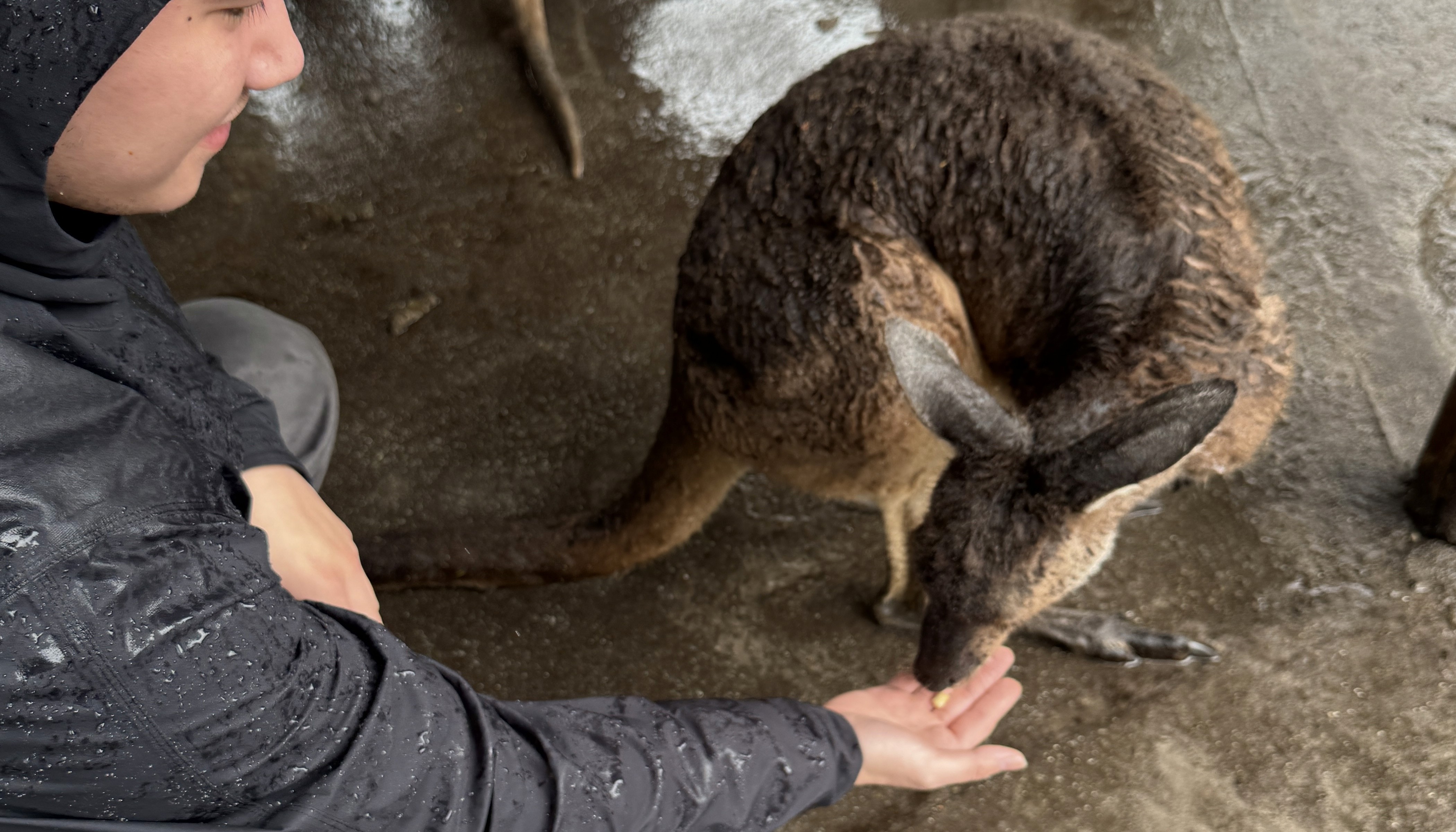 Just another day in Perth.