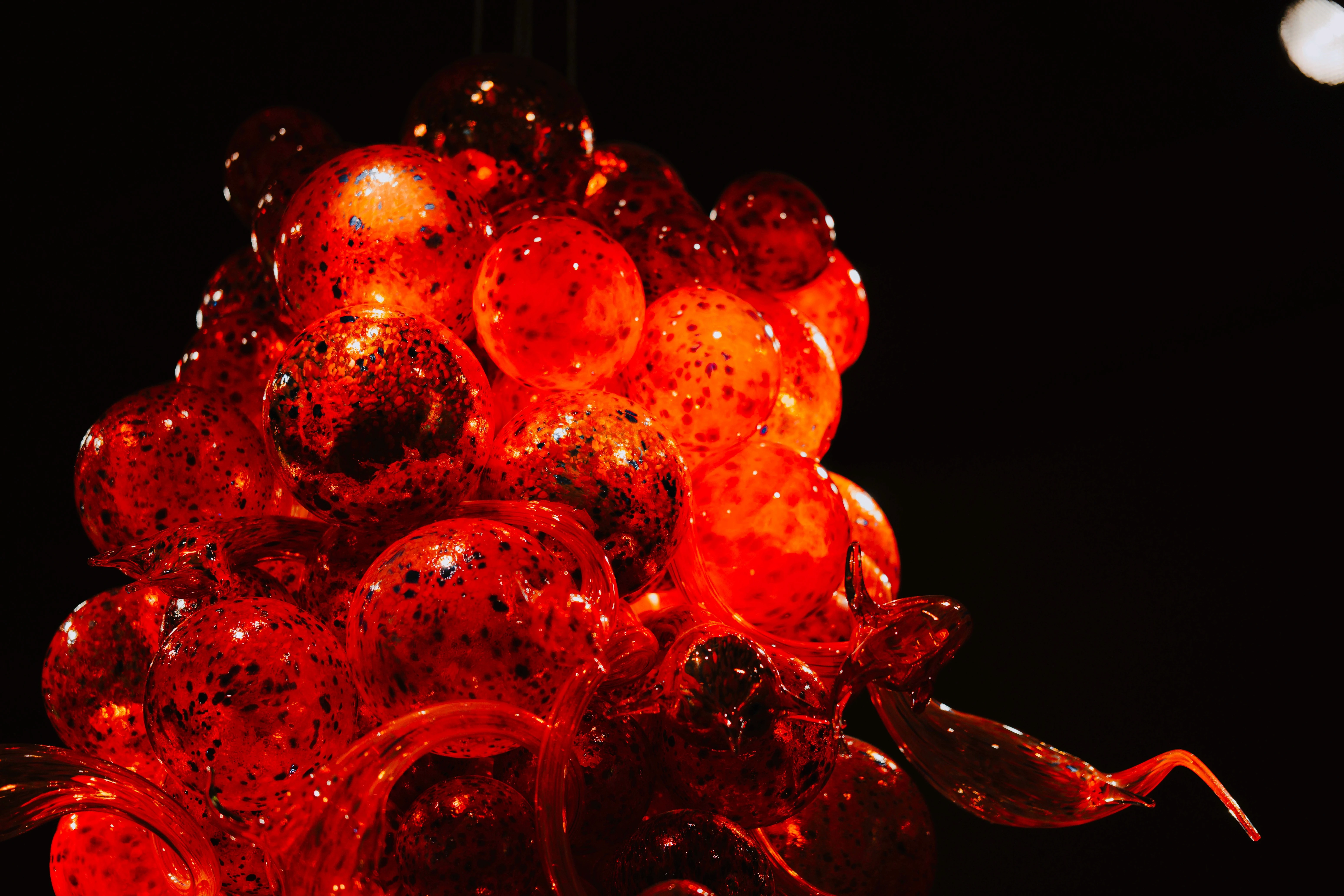glass blown art photo