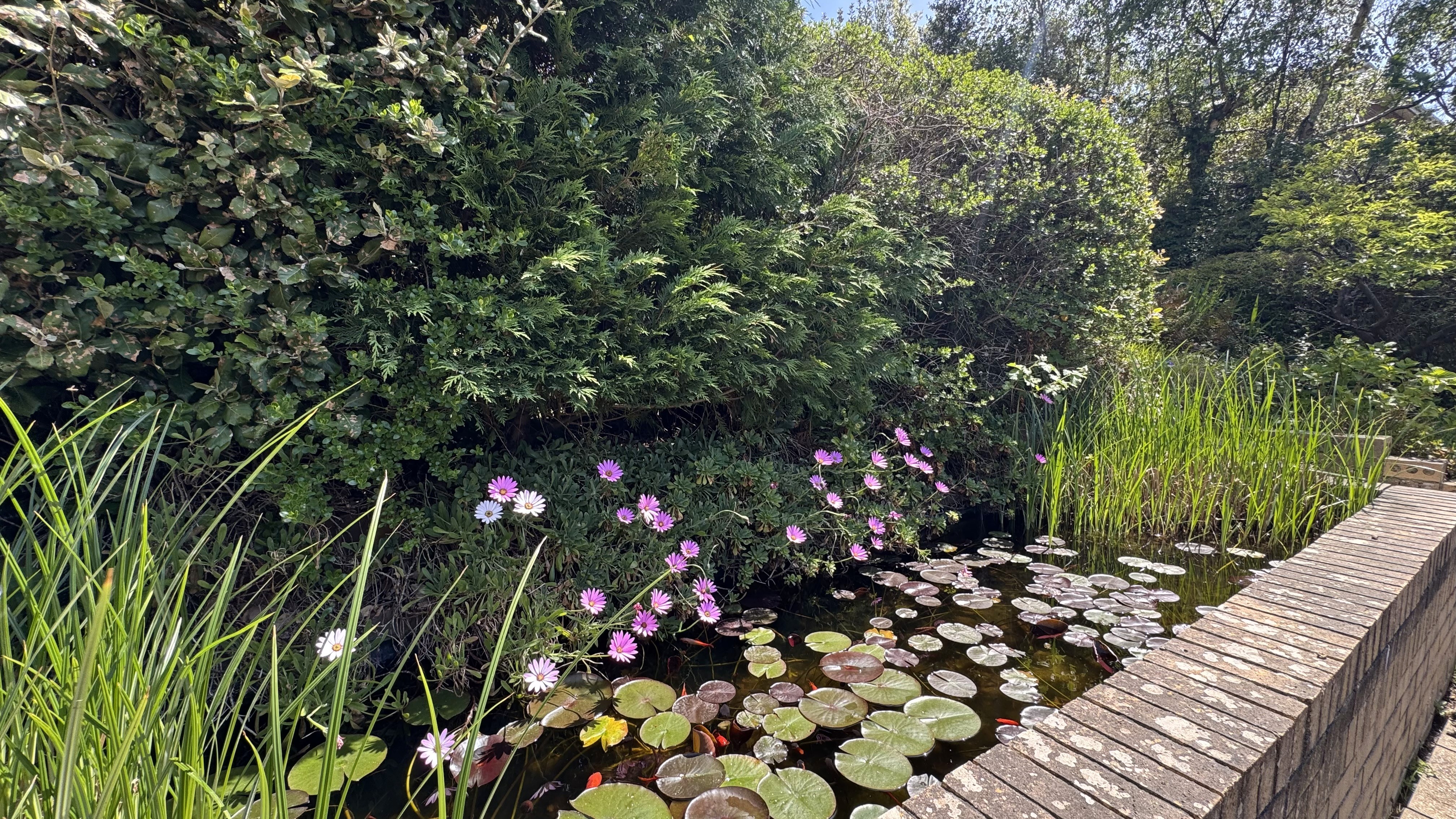 Roof Terrace