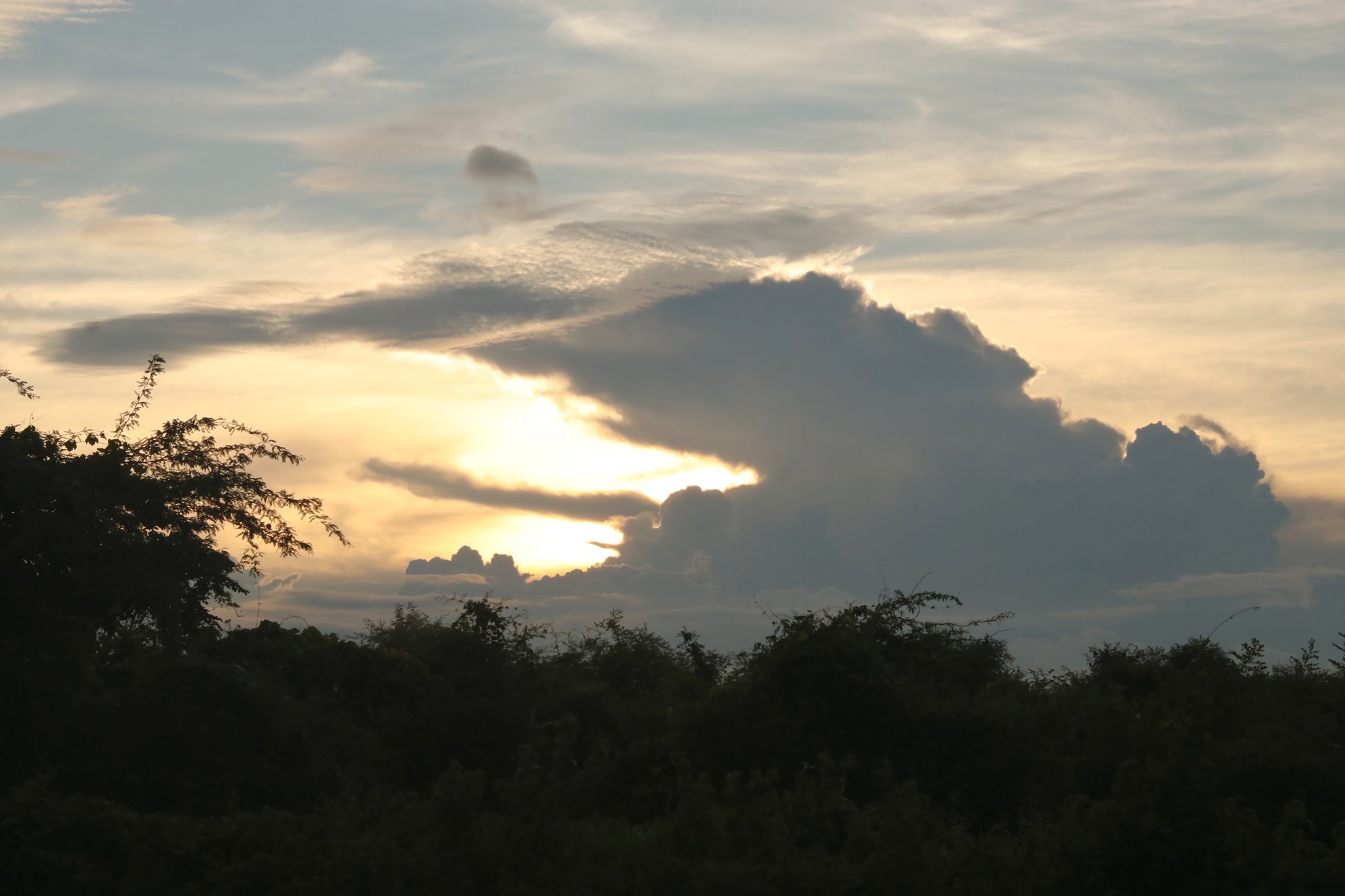 white clouds