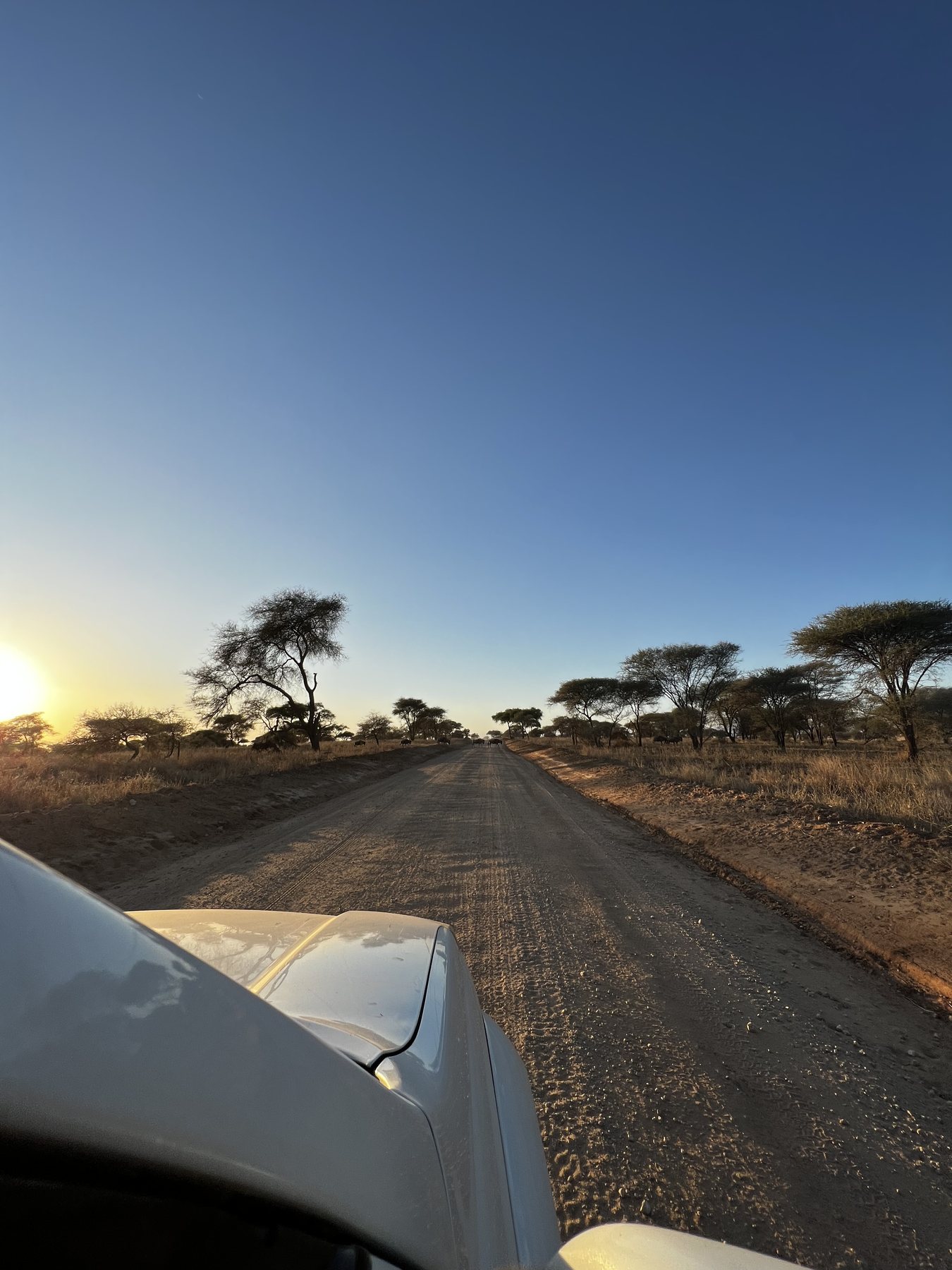 A road journey through a Tanzanian landscape.