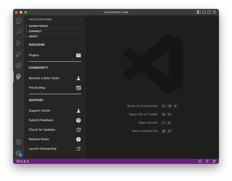 The About section of the Pieces Explorer.