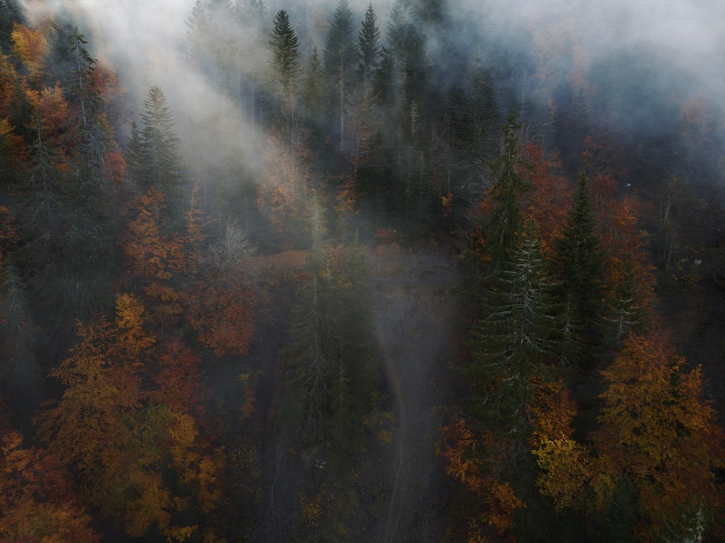 Light Without Sky by Aleksander Dylikowski