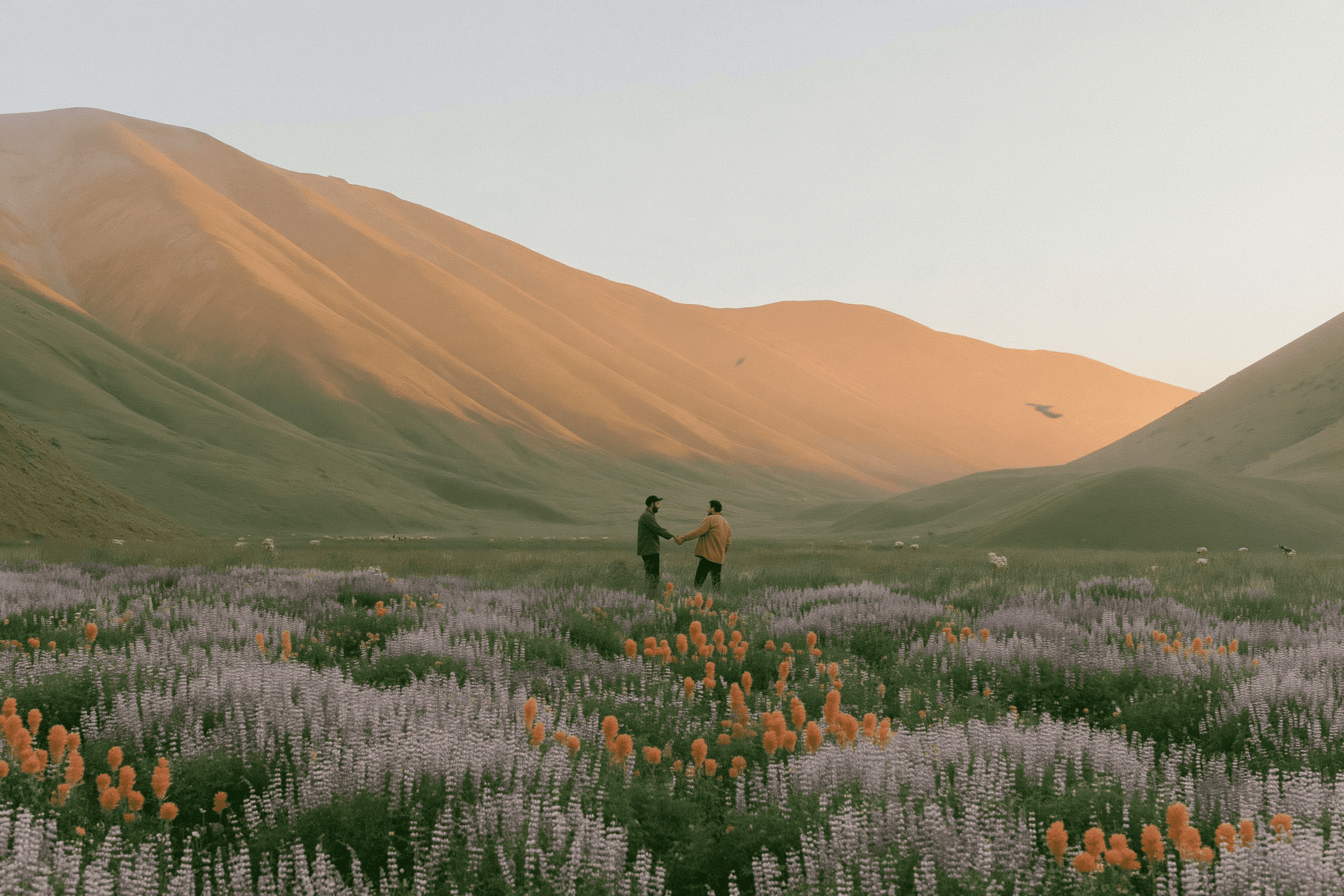 two men handshaking in field