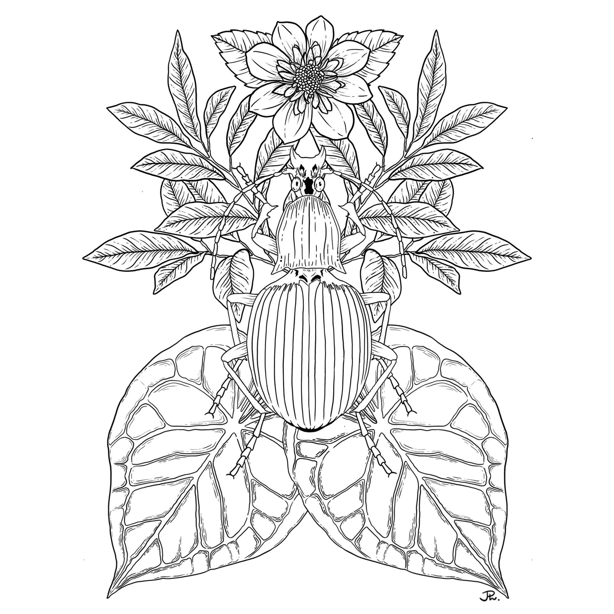 The image featured at the top of the about us page #2