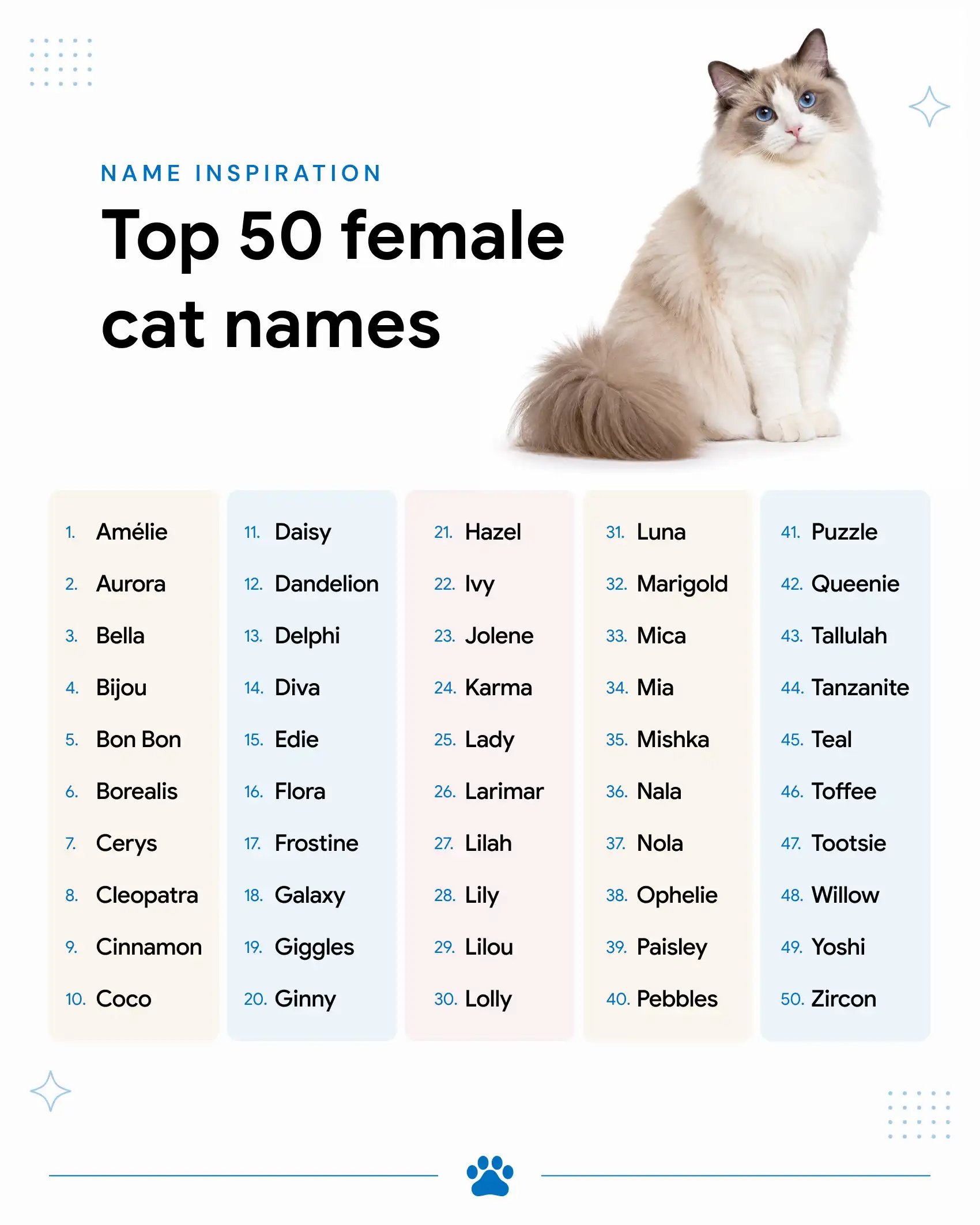 A list of female cat name suggestions from A to Z