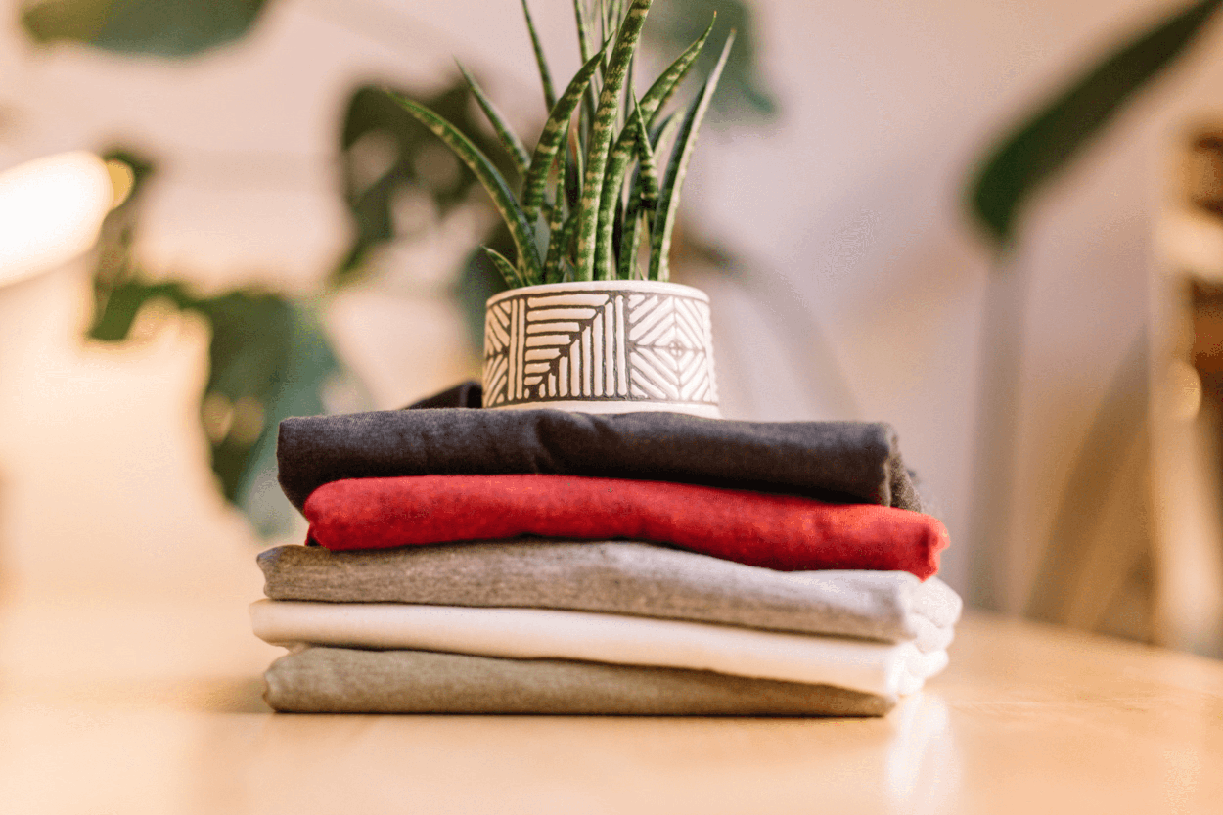 Eco friendly shirts ordered at cost