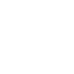 Step Icon