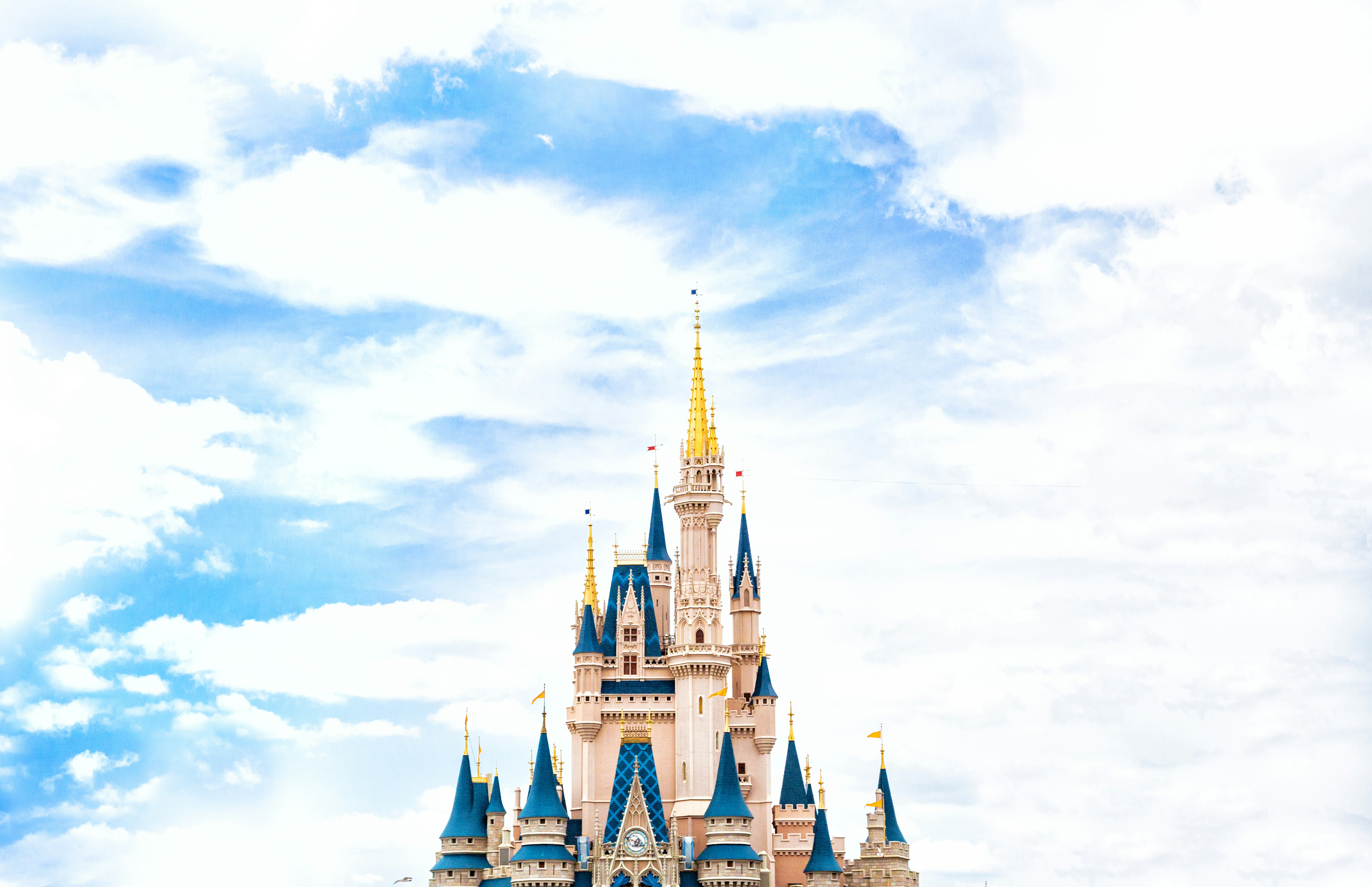 Walt Disney Magic Kingdom Castle Princess