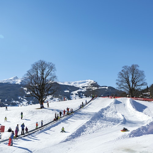 在晴朗的蓝天下，山峦背景衬托着高大的树木，人们在积雪覆盖的山坡上享受各种活动。