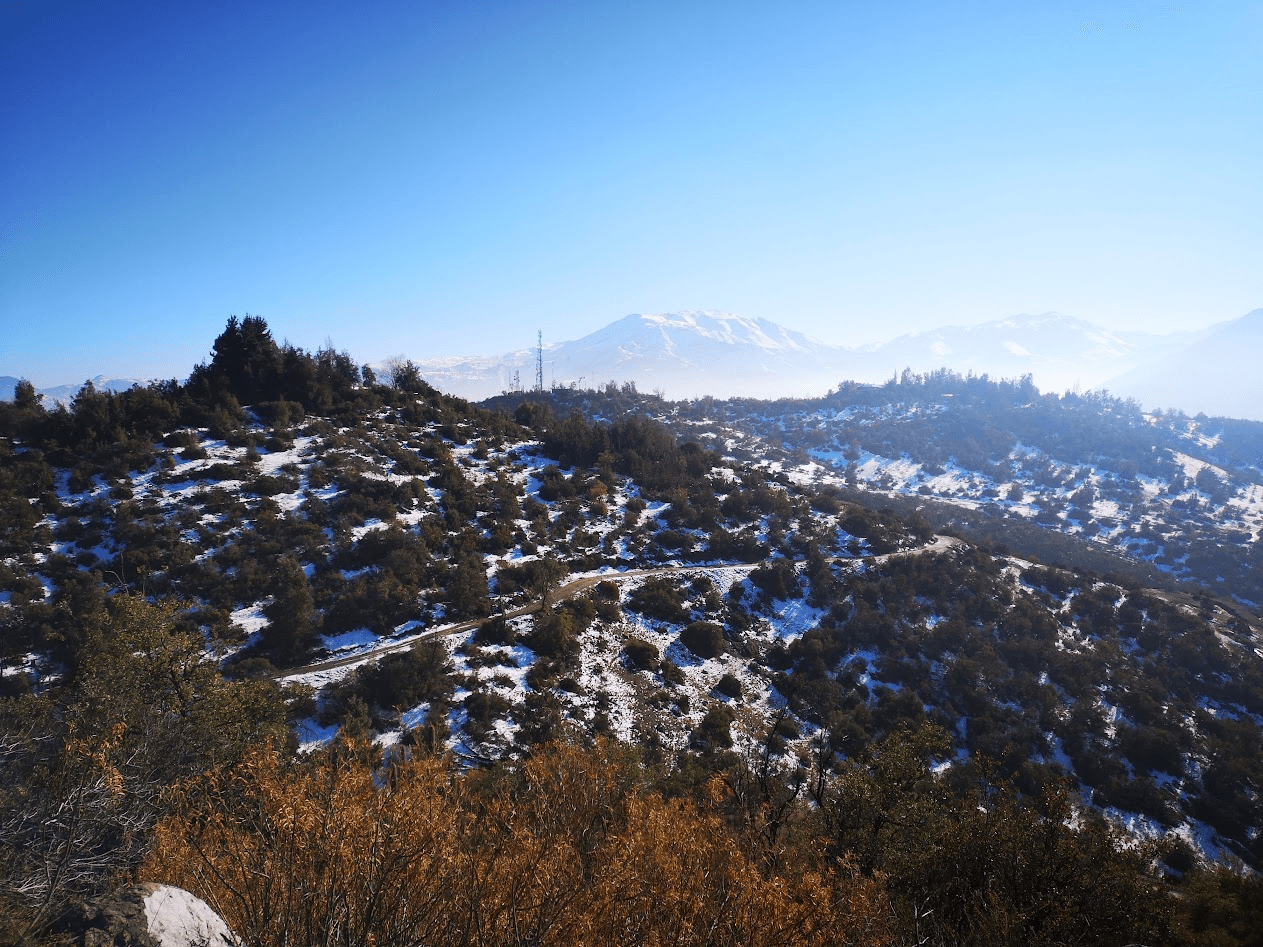 a group of children standing around each other