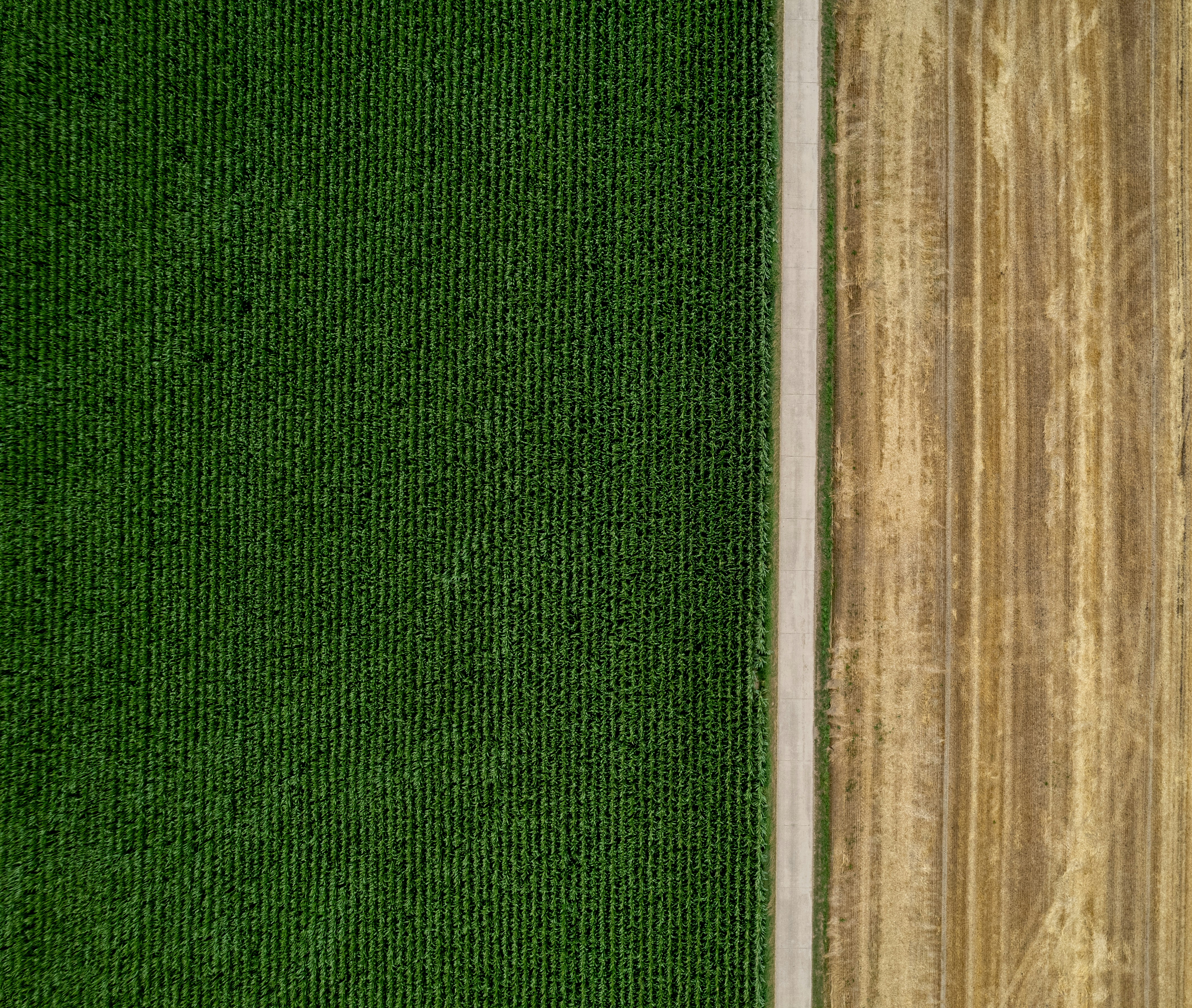 An aerial view of a wooden floor and green grass