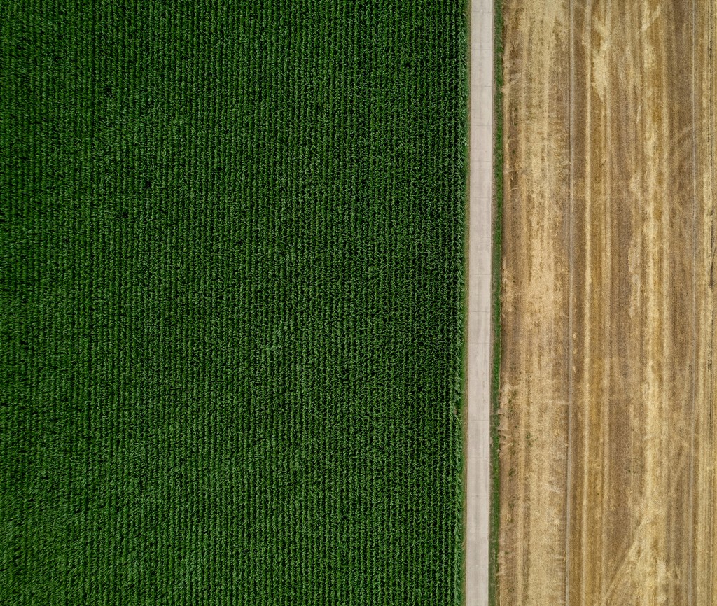 An aerial view of a wooden floor and green grass