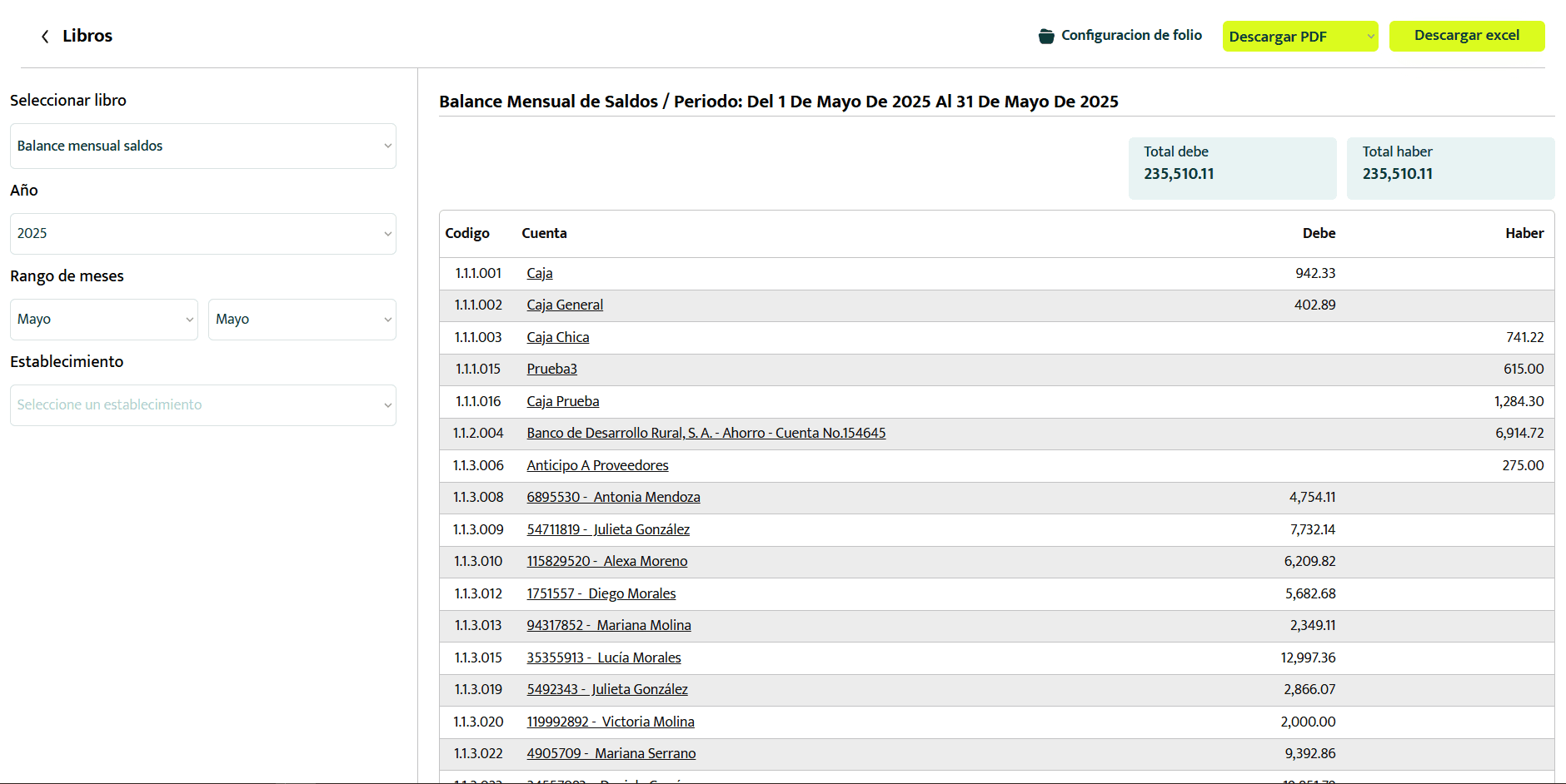 imagen-balance-mensual-saldos