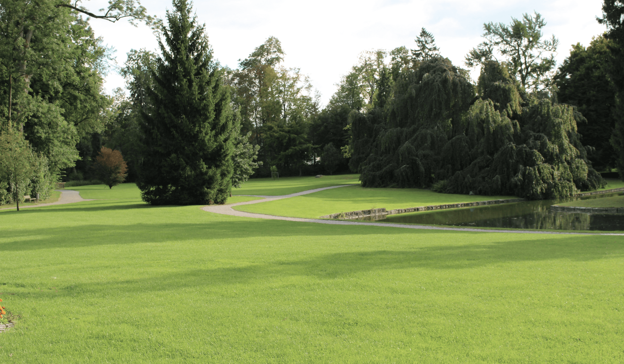 Landscape Design