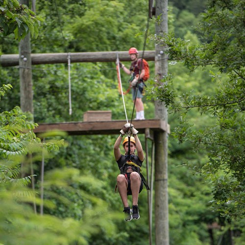 Activity Image