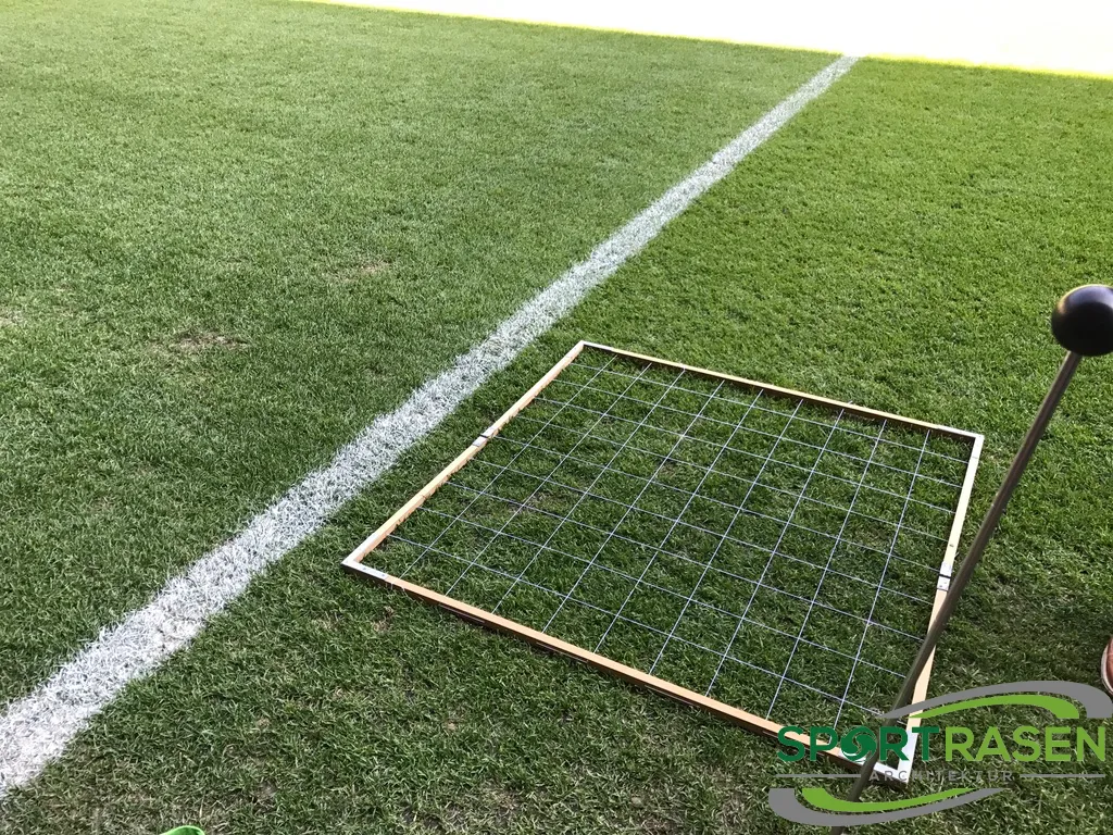 Narbendichte (projektive bodendeckung)