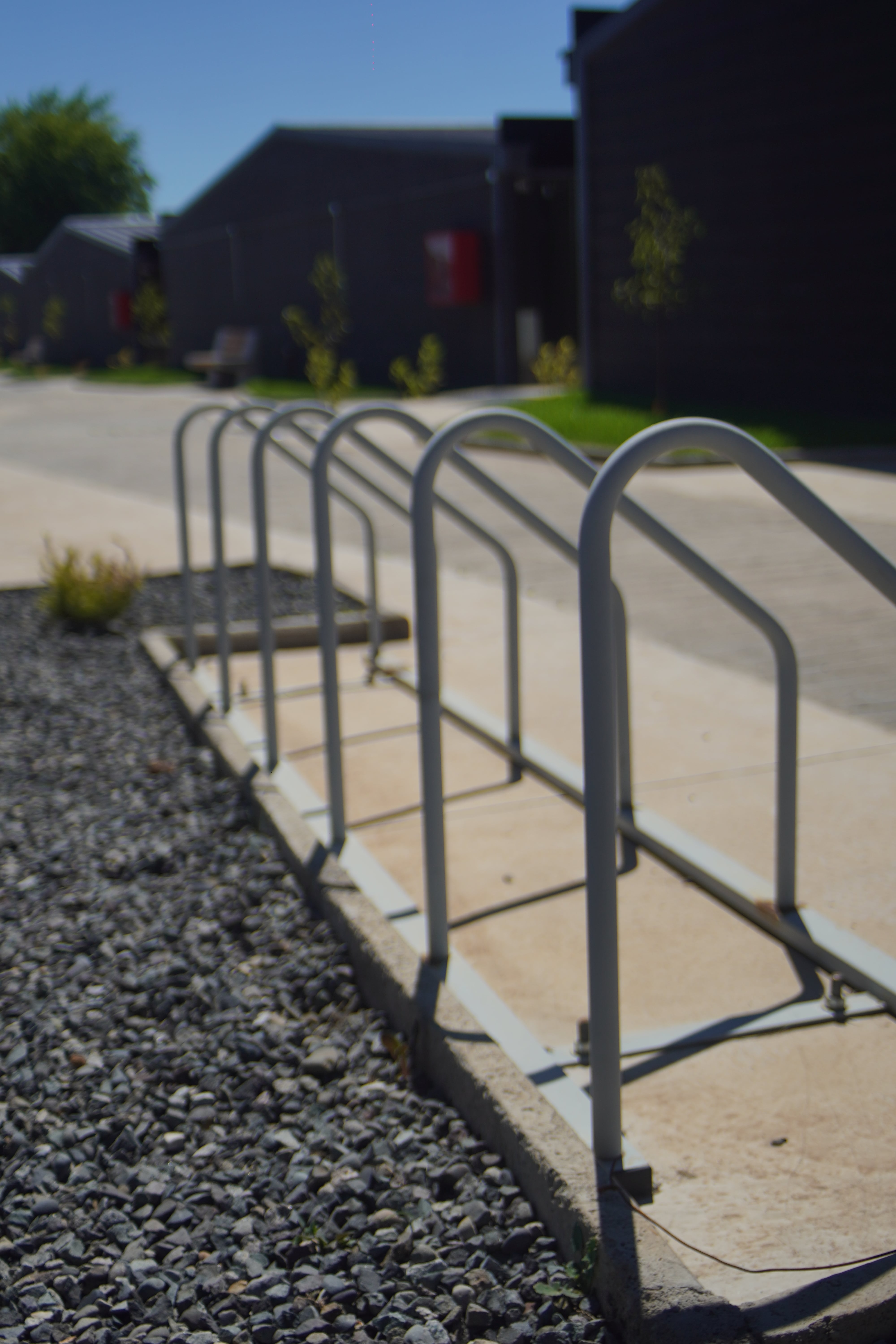 Man Wearing Black Coat