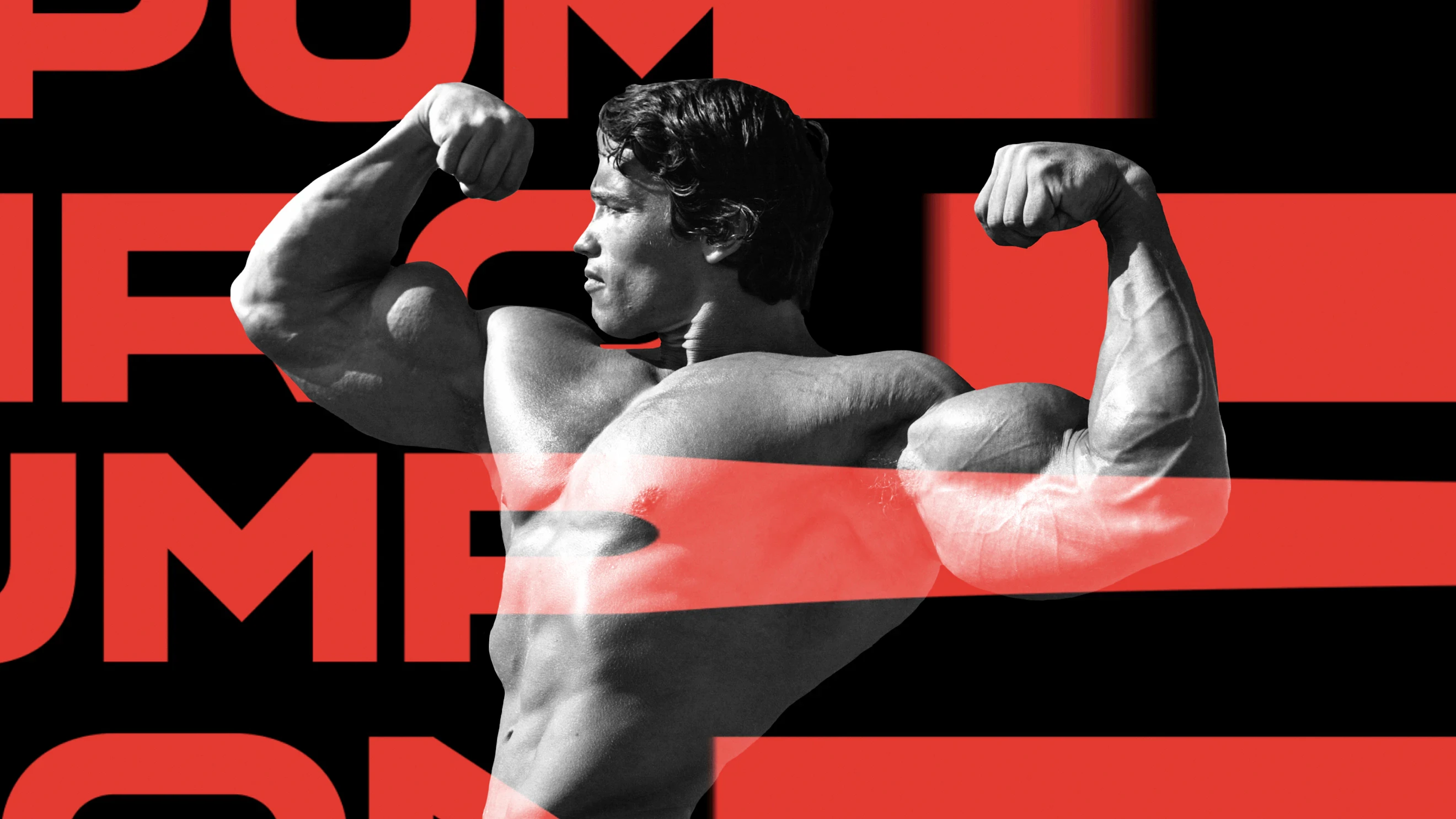 Arnold Pump banner